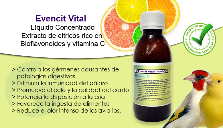 Evencit Vital Líquido concentrado Canariz