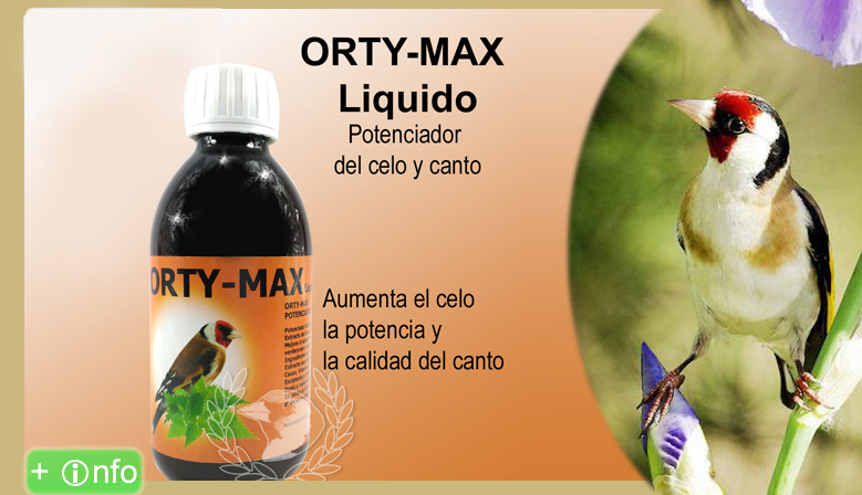 ORTY MAX Liquido