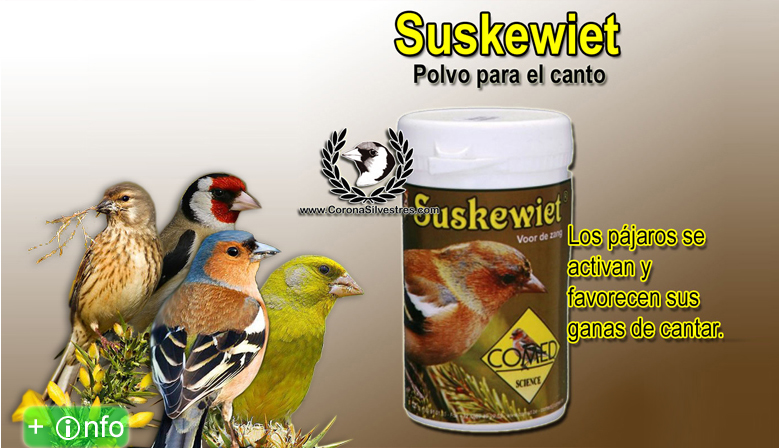 COMED SUSKEWIET CoronaSilvestres