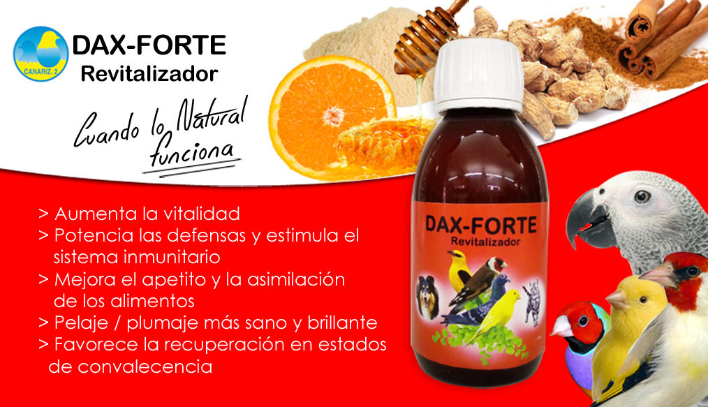 DAX FORTE Revitalizante CANARIZ2