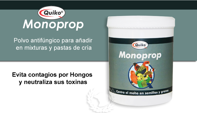 Quiko Monoprop