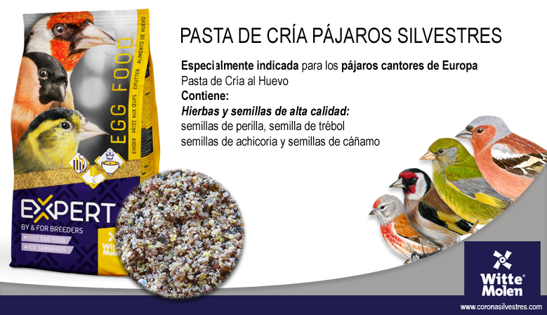 PASTA DE CRÍA PÁJAROS SILVESTRES Witte Molen EXPERT